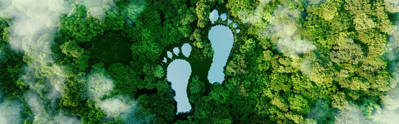 Aerial photo of a forest with lakes shaped like footprints