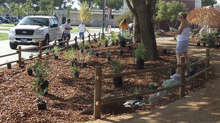 Native Garden