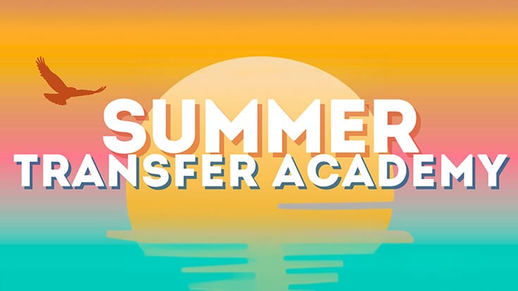 Summer Transfer Academy; a hawk flying across a sunset