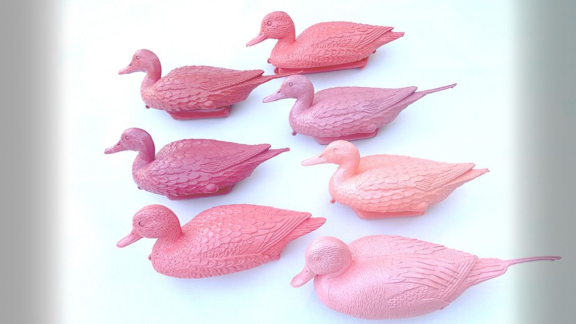 Seven rouge-colored duck sculptures all facing left