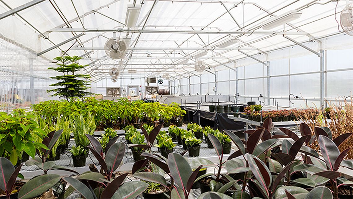 CRC's greenhouse is the home to many horticultural classes.