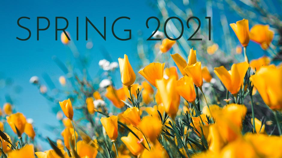 Spring 2021 text over blooming wild poppies