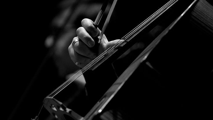 A black and white photo of hands playing strings on an instrument